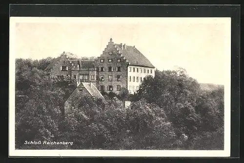 AK Reichelsheim / Odw., Schloss Reichenberg
