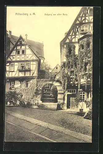 AK Miltenberg a. M., Aufgang zur alten Burg