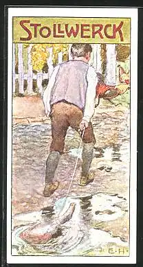 Sammelbild Stollwerck Schokolade, Die Hammelschulter, Märchen, Hühner