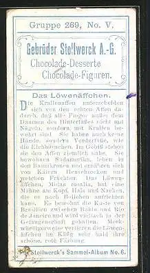 Sammelbild Stollwerck`s Chocolade, Das Löwenäffchen