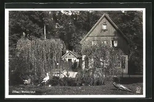 AK Zittau, Cafe Weinau-Idyll