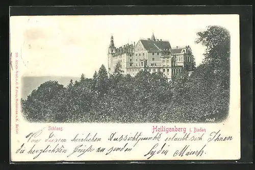 Relief-AK Heiligenberg / Baden, Baumkronen vor dem Schloss