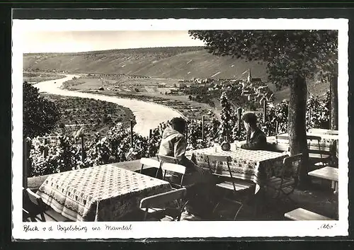 AK Volkach /Franken, Blick von der Terrasse auf der Vogelsburg in das Maintal