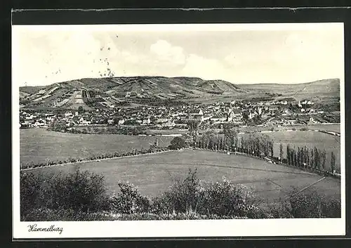 AK Hammelburg, Ansicht der Ortschaft und Umgebung