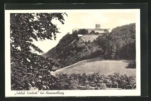 AK Hammelburg, Schloss Saaleck