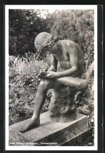 AK Insel Mainau (Bodensee), Dornauszieher