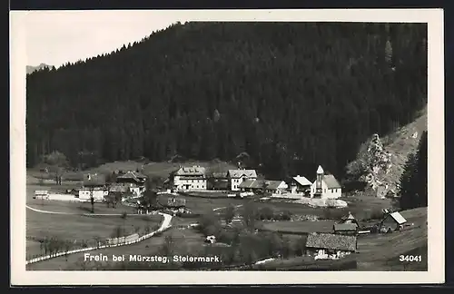 AK Frein b. Mürzsteg, Ortsansicht aus der Vogelschau