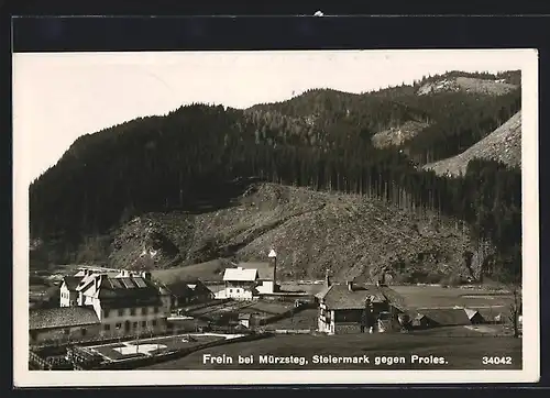 AK Frein b. Mürzsteg, Ortsansicht gegen Proles