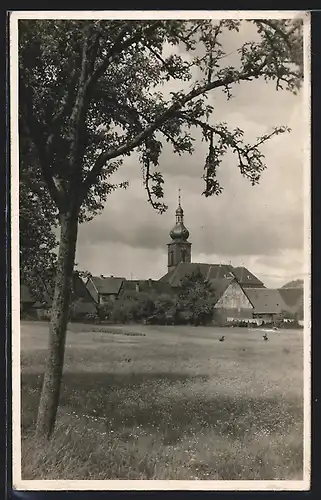 AK Waldhausen / Odenwald, Blick zum Ort mit Kirche