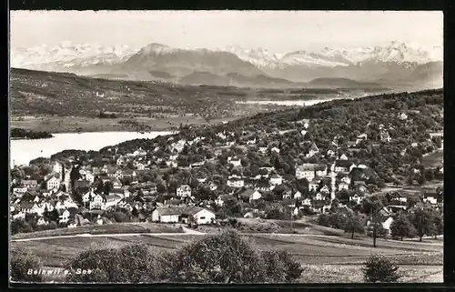 AK Beinwil am See, Gesamtansicht mit Alpenpanorama