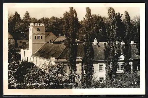 AK Gross-Pertholz, Schloss