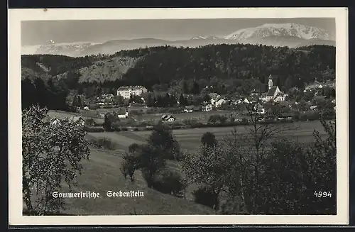 AK Seebenstein, Blick auf den Ort