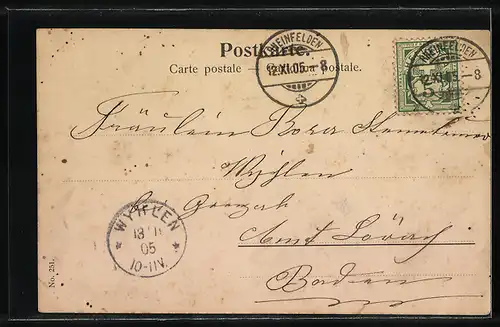 AK Rheinfelden, Ortsansicht mit Brücke