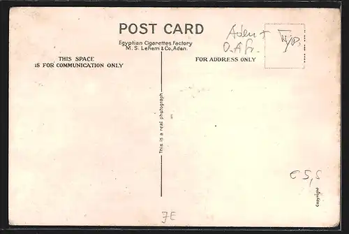 AK Aden, Caravan at rest, rastende Kamelkarawane