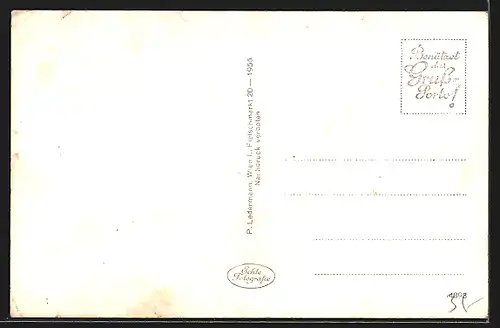 AK Kapfenberg, Ortsansicht mit Bergpanorama