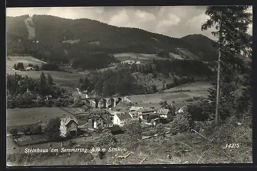 AK Steinhaus am Semmering, Ortsansicht aus der Vogelschau