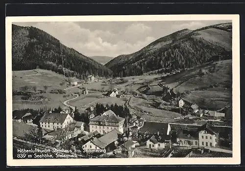 AK Steinhaus a. Semmering, Ort mit Umgebung