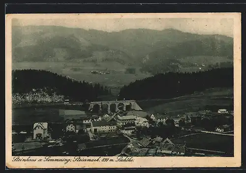 AK Steinhaus am Semmering, Totalansicht