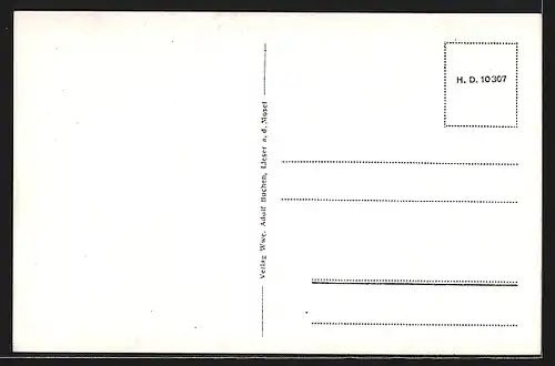 AK Lieser / Mosel, Totalansicht