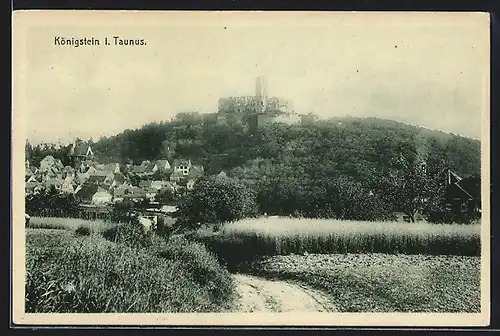 AK Königstein i. Taunus, Ortsansicht aus der Vogelschau