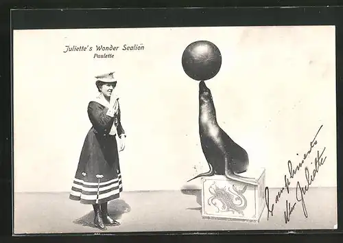 AK Juliette`s Wonder Sealion Paulette, Zirkus
