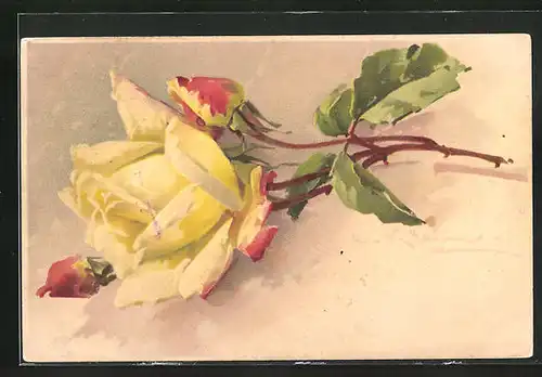 Künstler-AK Catharina Klein: eine blühende gelbe Rose