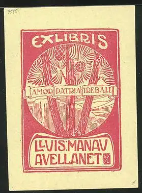 Exlibris Amor Patria Treball, Kokosnuss Palme