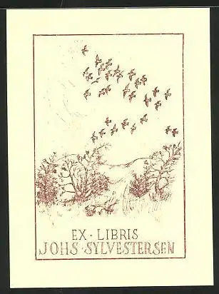 Exlibris Johs Sylvestersen, Natur, Vögel
