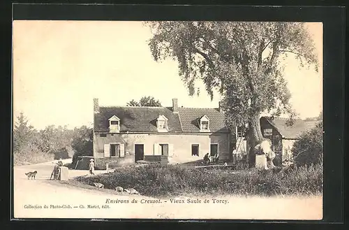 AK Torcy, Vieux Saule