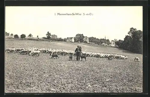 AK Montméliant-St-Witz, Bauer mit Schafen auf dem Feld