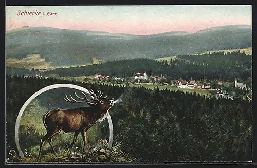AK Schierke / Harz, Totalansicht mit Häuser, Wäldern und Brocken, röhrender Hirsch