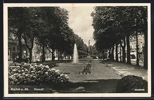AK Krefeld, Park in der Ostwall-Strasse