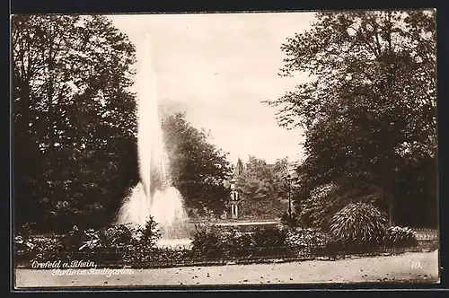 AK Krefeld, Stadtgarten mit Fontäne