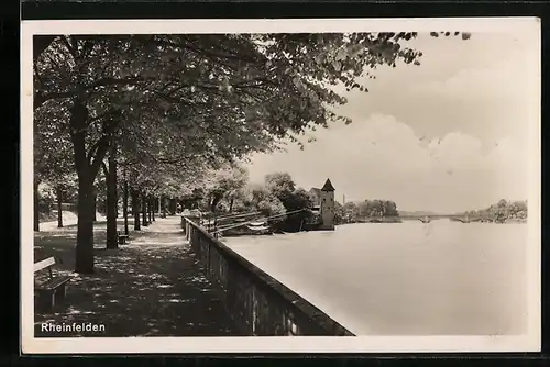 AK Rheinfelden, Uferpartie