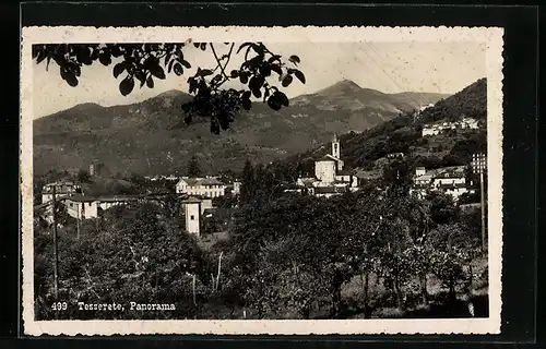 AK Tesserete, Panorama