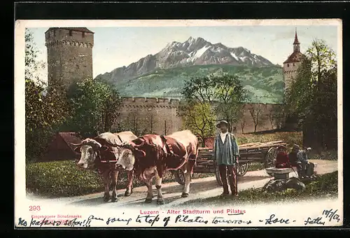 AK Luzern, Alter Stadtturm und Pilatus, Bauer mit seinem Rindergespann