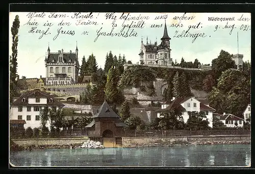 AK Wädenswil, Blick vom Wasser auf Wädensweil