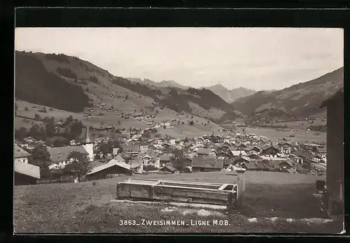 AK Zweisimmen, Ortspanorama