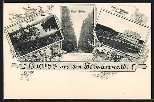 AK Rothhaus /Schwarzwald, Waldparthie, Schlüchtsee, Kurhaus Rothhaus v. Franz Winter