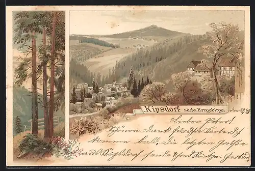 Lithographie Kipsdorf / Erz., Ortsansicht, Waldpartie