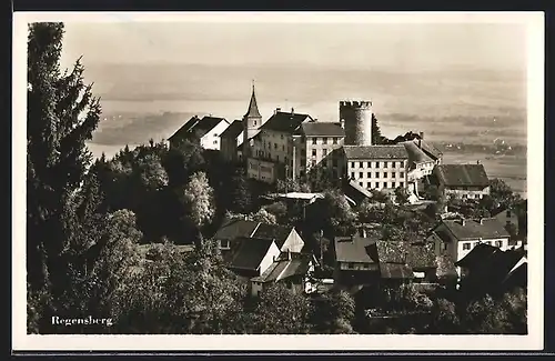 AK Regensberg, Blick auf das Schloss