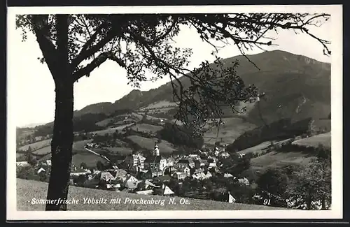 AK Ybbsitz, Ortsansicht mit Prochenberg