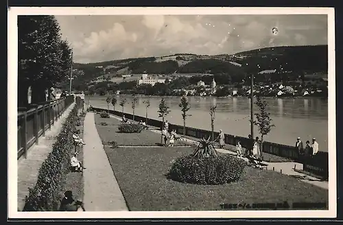 AK Ybbs a. d. Donau, Promenade an der Donau