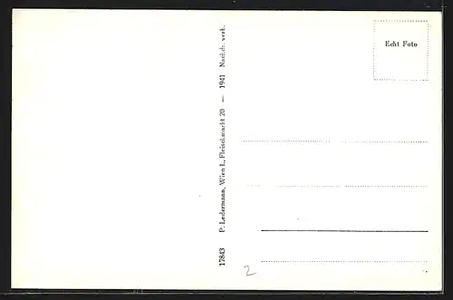 AK Payerbach, Blick über die Dächer des Ortes