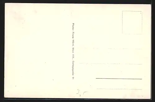 AK Payerbach, Hotel Kampitsch, Hotel zur weissen Rose, Partie a. d. Schwarza, Gesamtansicht