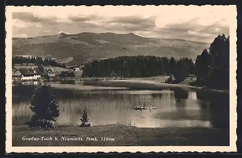 AK Neumarkt, Graslup-Teich