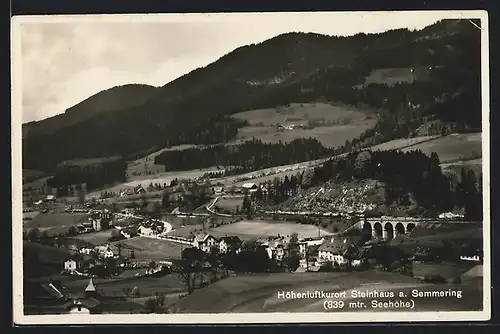 AK Steinhaus, Ortsansicht mit Semmeringbahn