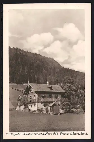 AK Frein a. d. Mürz, K. Diegruber`s Gastwirtschaft a. Neuwald