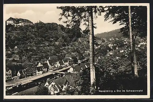 AK Neuenbürg a. Enz, Totalansicht