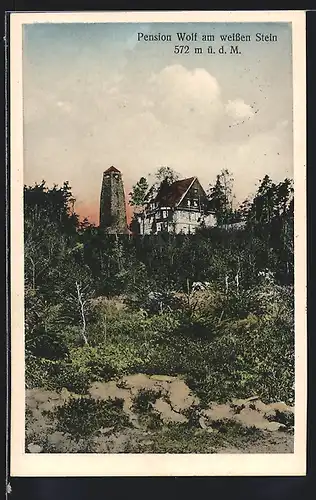 AK Heidelberg, Hotel-Pension Weisser Stein und Aussichtsturm